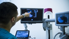 Healthcare provider reviewing a scanned image on a screen