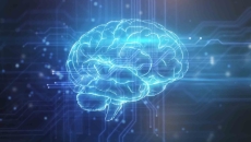 AI brain and circuitry