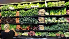 The produce department of a grocery store